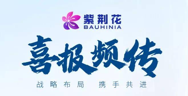 工程Top30丨万紫千红，紫荆花跻身工程涂料15强 