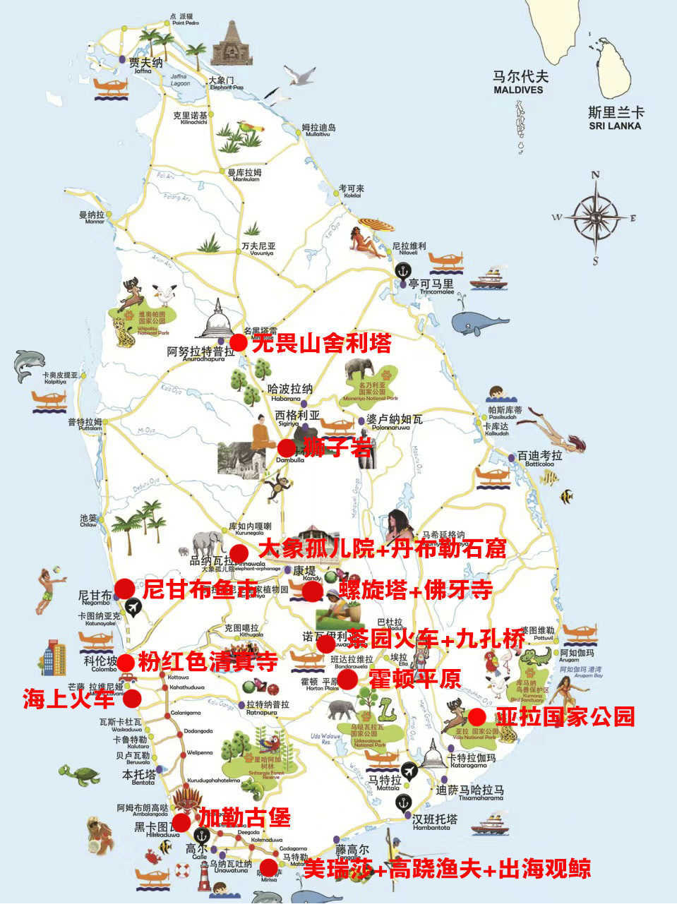 图片[12]-印度洋上的明珠,微笑国度｜斯里兰卡 -华闻时空