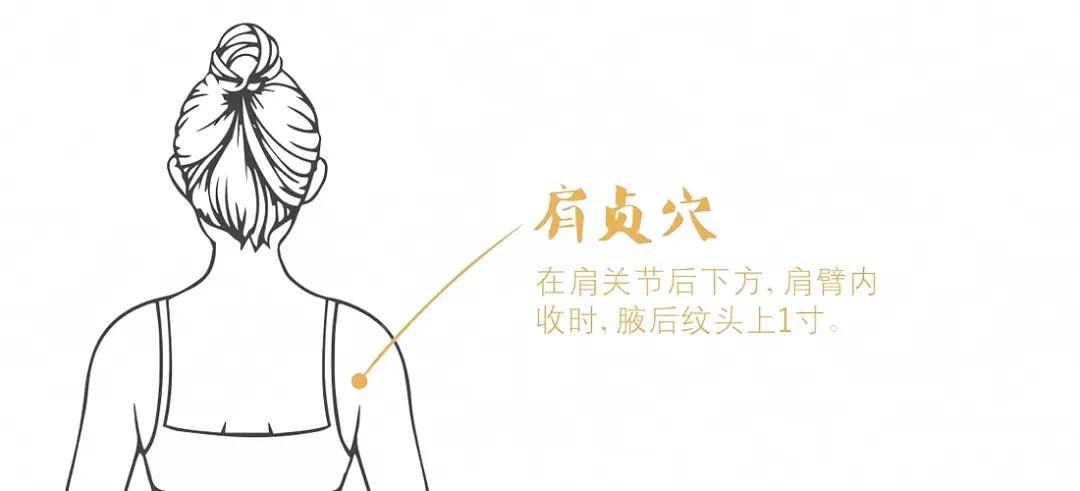 1 肩贞穴的位置 天宗穴还有一个好朋友——肩贞穴，是治疗肩部疼痛的首要穴位
