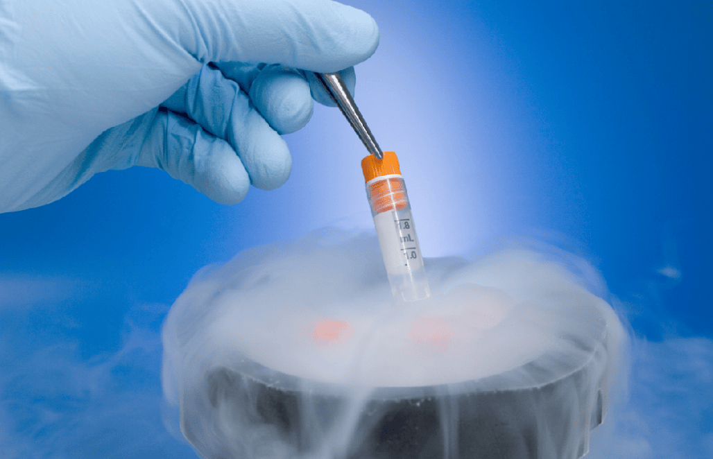 细胞健康管理：探索人体活力的秘密武器