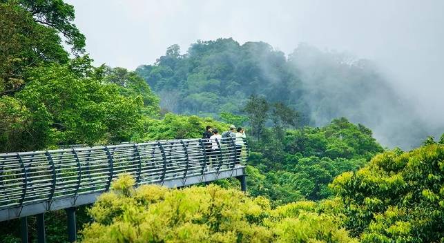 海南百花岭风景区门票图片