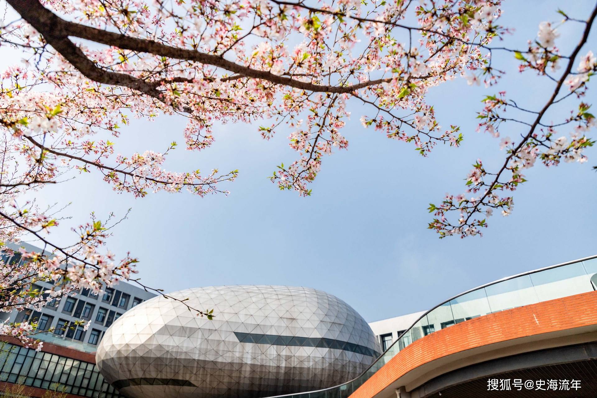 原创            浙大2025保研率出炉，约36%成功上岸，五年保研率揭秘-浙大保研人数统计