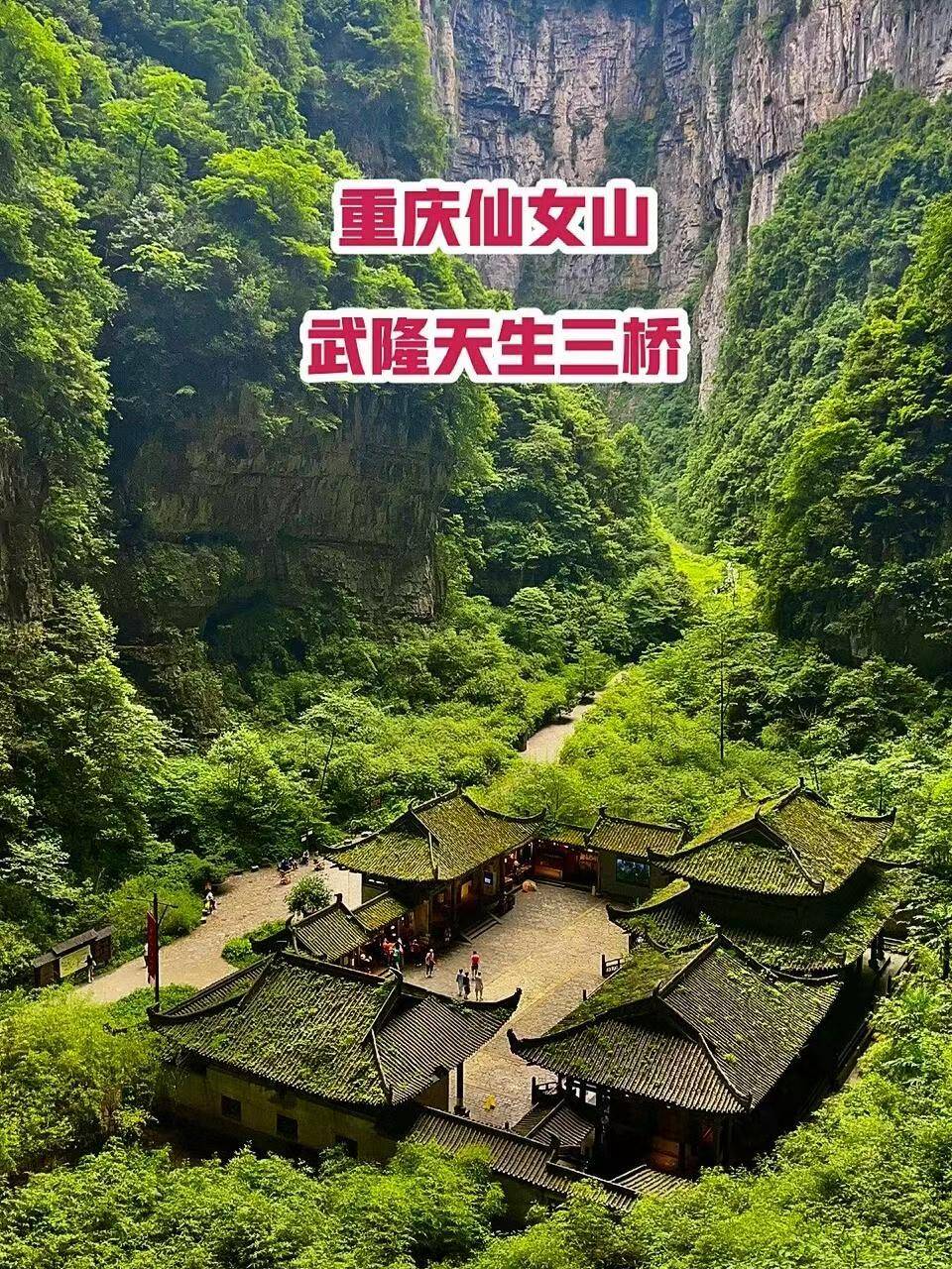 武隆景点介绍仙女山图片