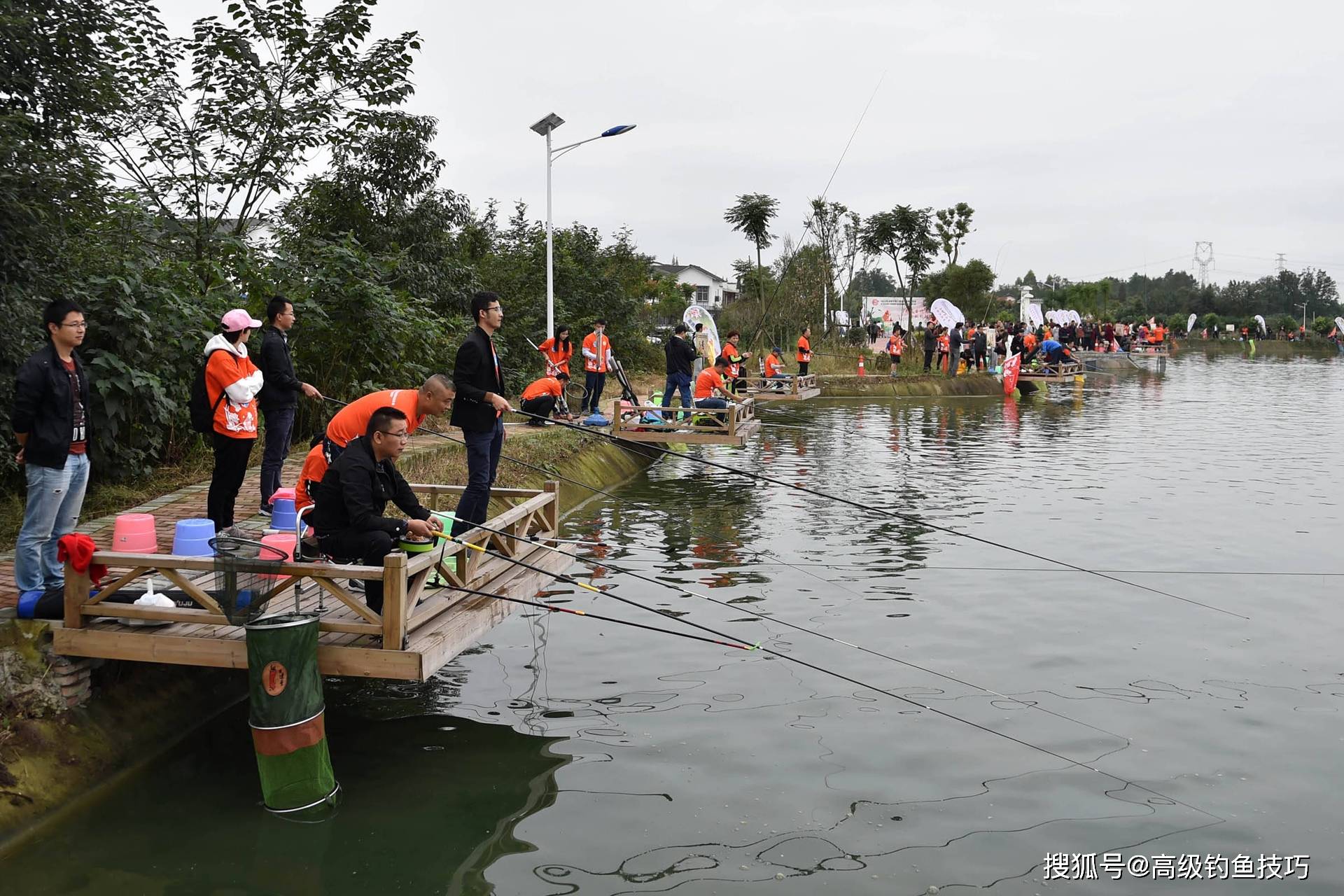 深秋钓黑坑鲤鱼的4个要点,低温冷水鱼难钓