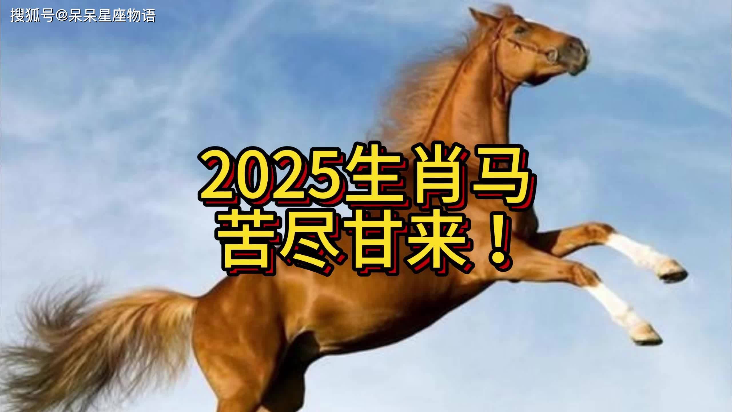 生肖马8月运势滔天(生肖马8月运势滔天好不好)