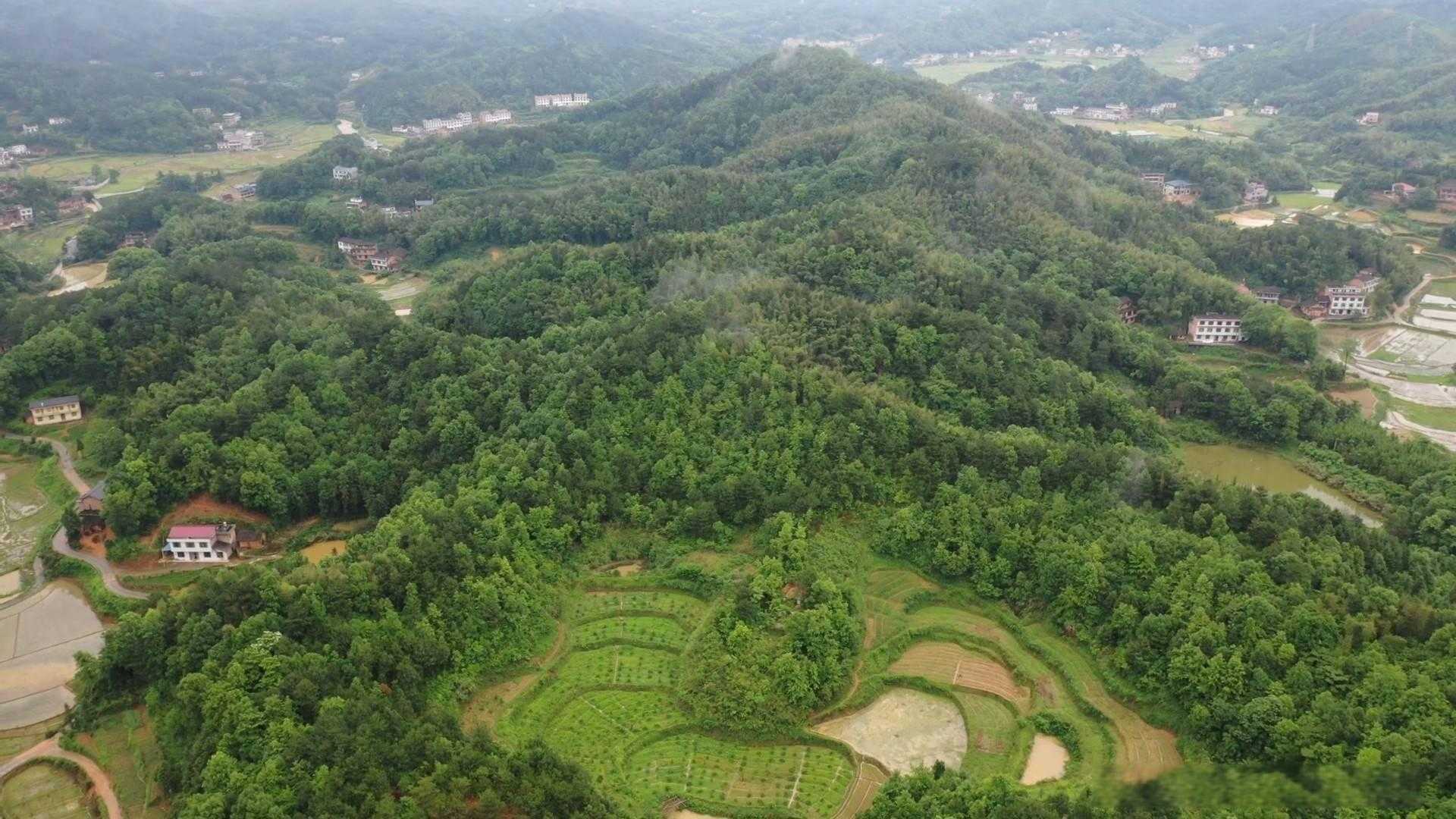 普宁风水宝地图片