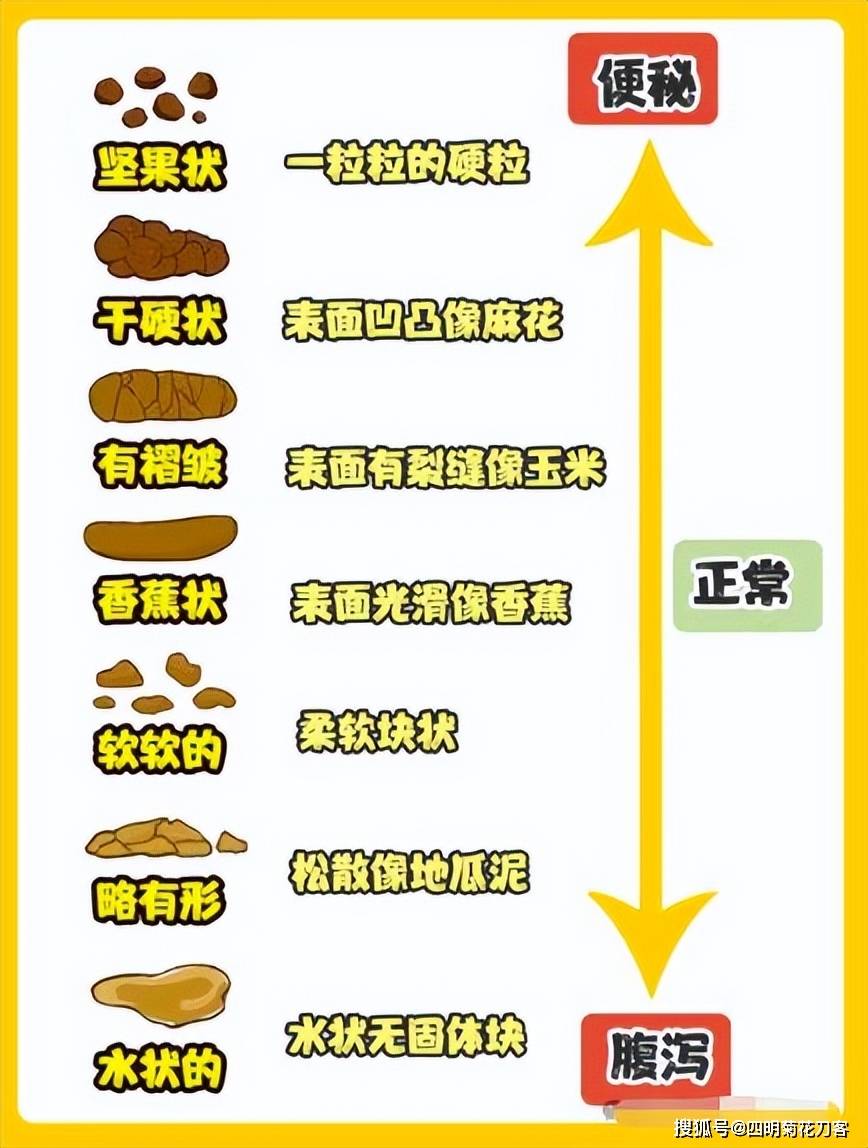 人死之前为什么会拉屎 人死之前为什么会拉屎