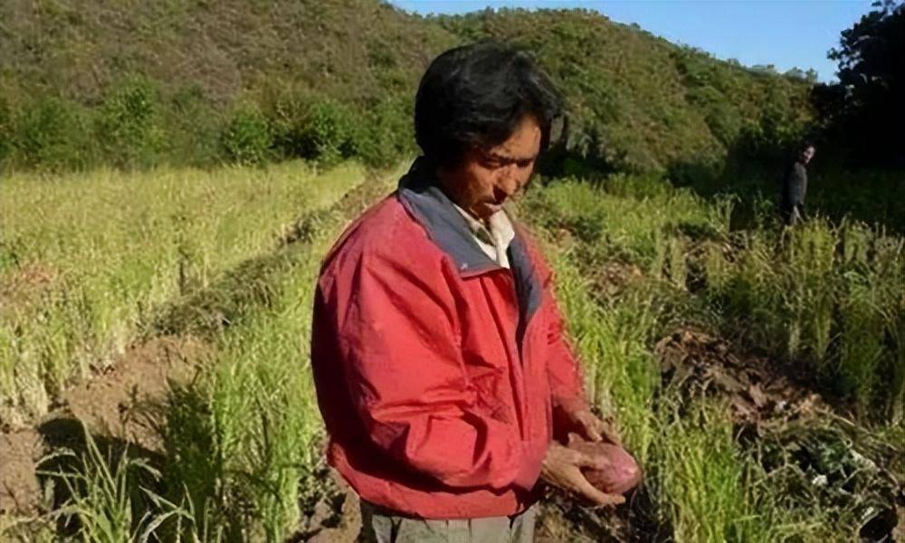 北大硕士王青松,攒够350万后,携妻隐居深山11年,后来怎样了?