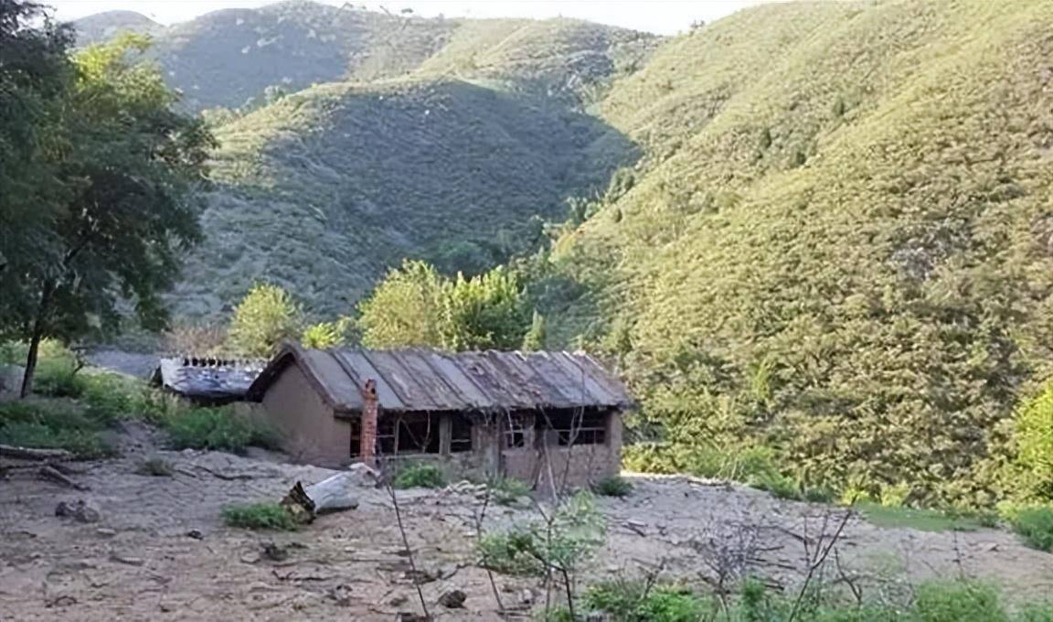 北大硕士王青松,攒够350万后,携妻隐居深山11年,后来怎样了?