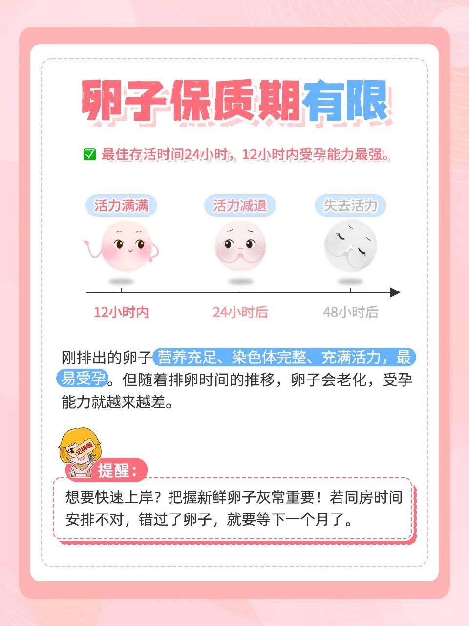 卵子排出后,能存活多久?