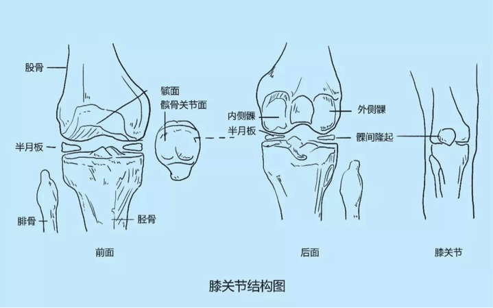 临床遇到膝关节痛,一文总结最全病因
