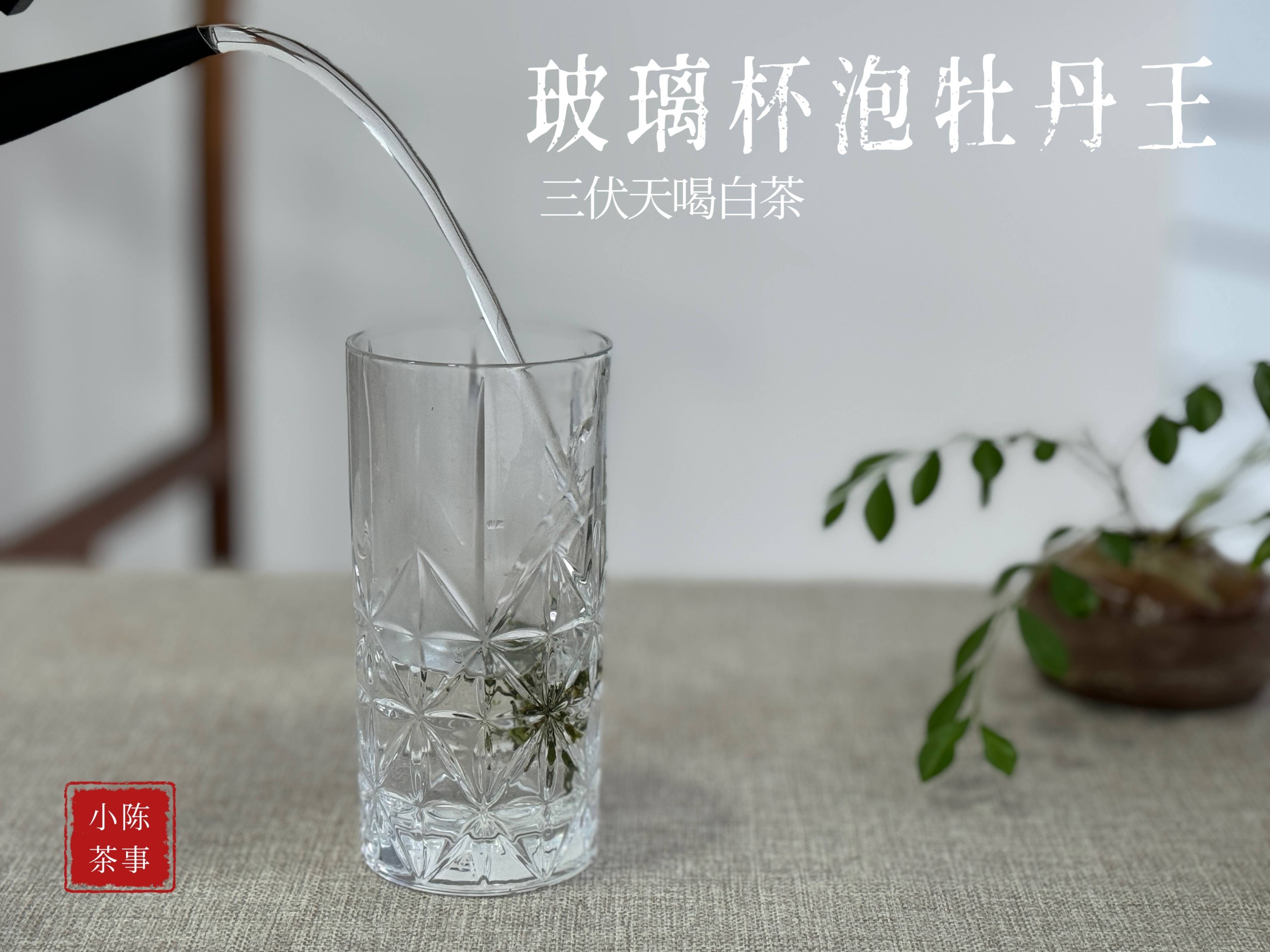 原创
            白茶的3种常见喝法，盖碗泡、玻璃杯泡、煮茶，都可以留底汤吗？-第5张图片-福建名茶