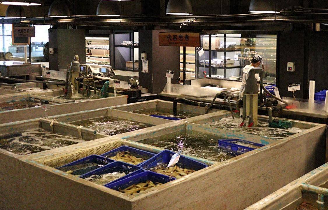 惠台穷台都只是手段，统一大业不是请客吃饭，不能总想着优雅从容_搜狐网