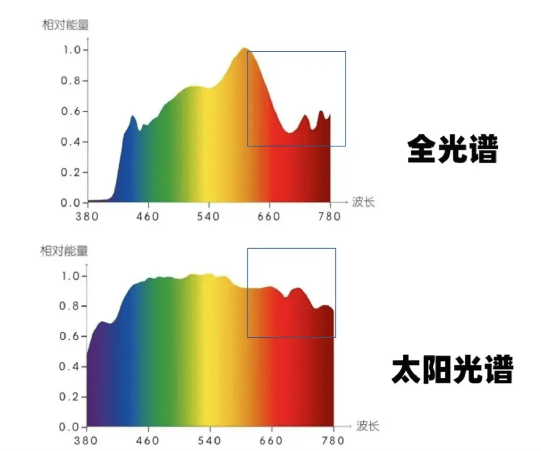 光饱和点图像图片