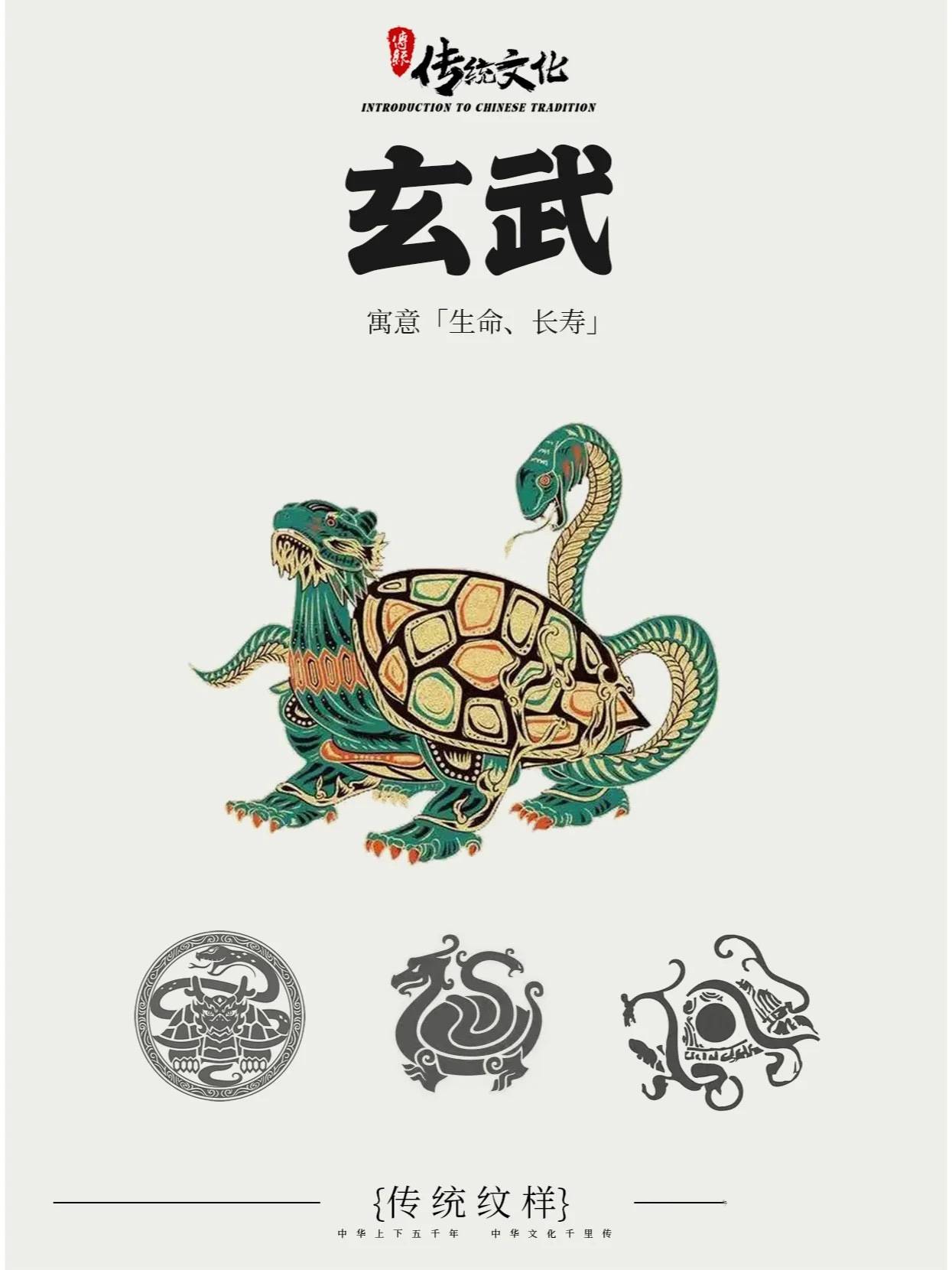 五贝(彭飞)探秘龟壳上的五行八卦:古老智慧与现代启示_宇宙观_文化_太极