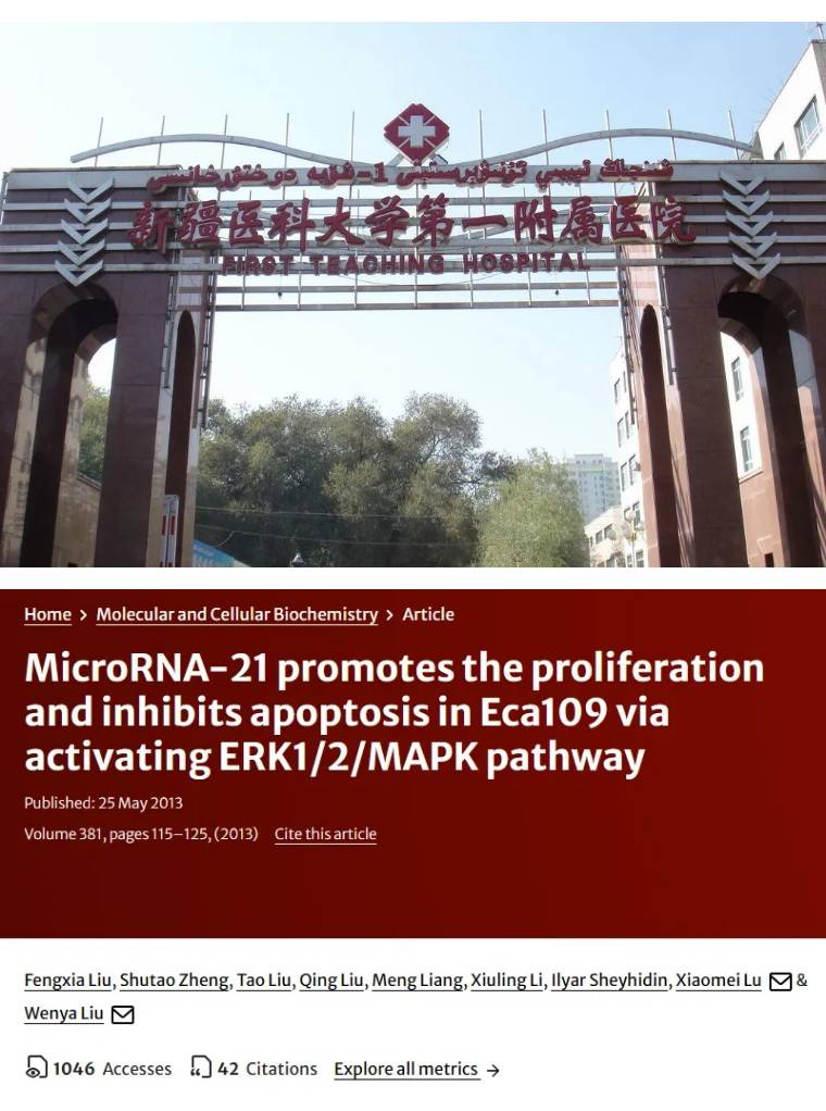 新疆自治區中醫院(新疆中醫學院附屬醫院)代掛提高就醫效率的簡單介紹 新疆自治區中醫院(新疆中醫學院附屬醫院)代掛提高就醫效率的簡單介紹