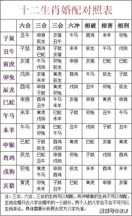 婚姻中的属相之思:相合与否,真的重要吗?