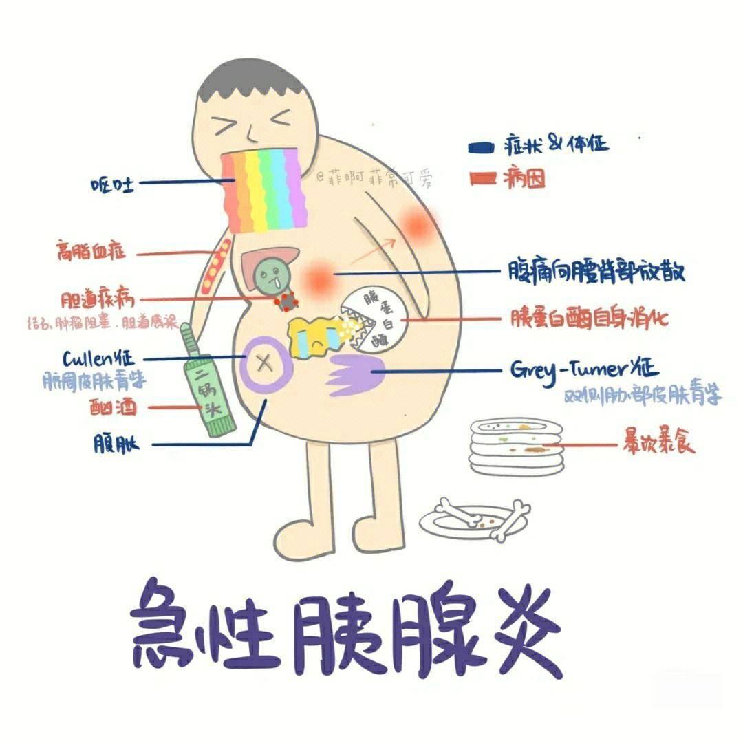 胰腺炎怎么得的图片