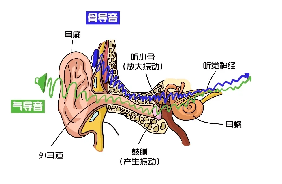 骨传导耳机哪个品牌好用?五大高赞热门骨传导耳机实测点评!