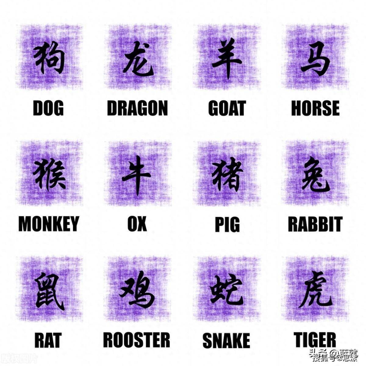 女人十二生肖运势(十二生肖女人肖是哪些)