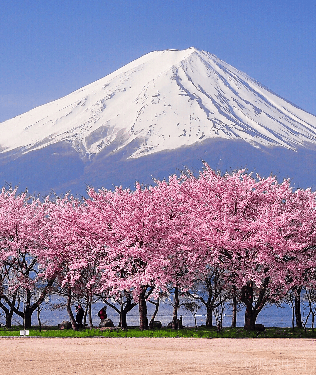 富士山顶部图片