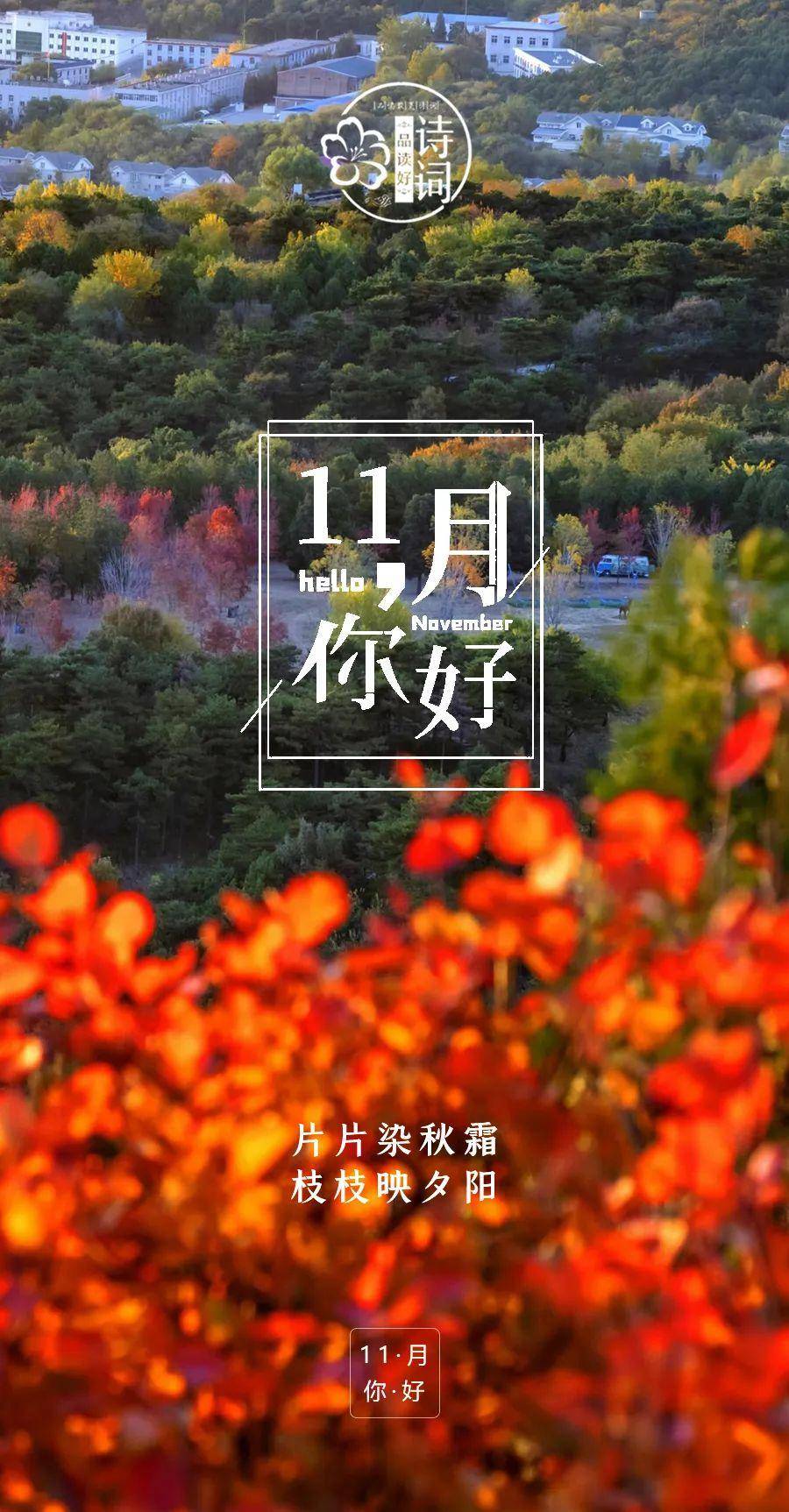 文章配图-2