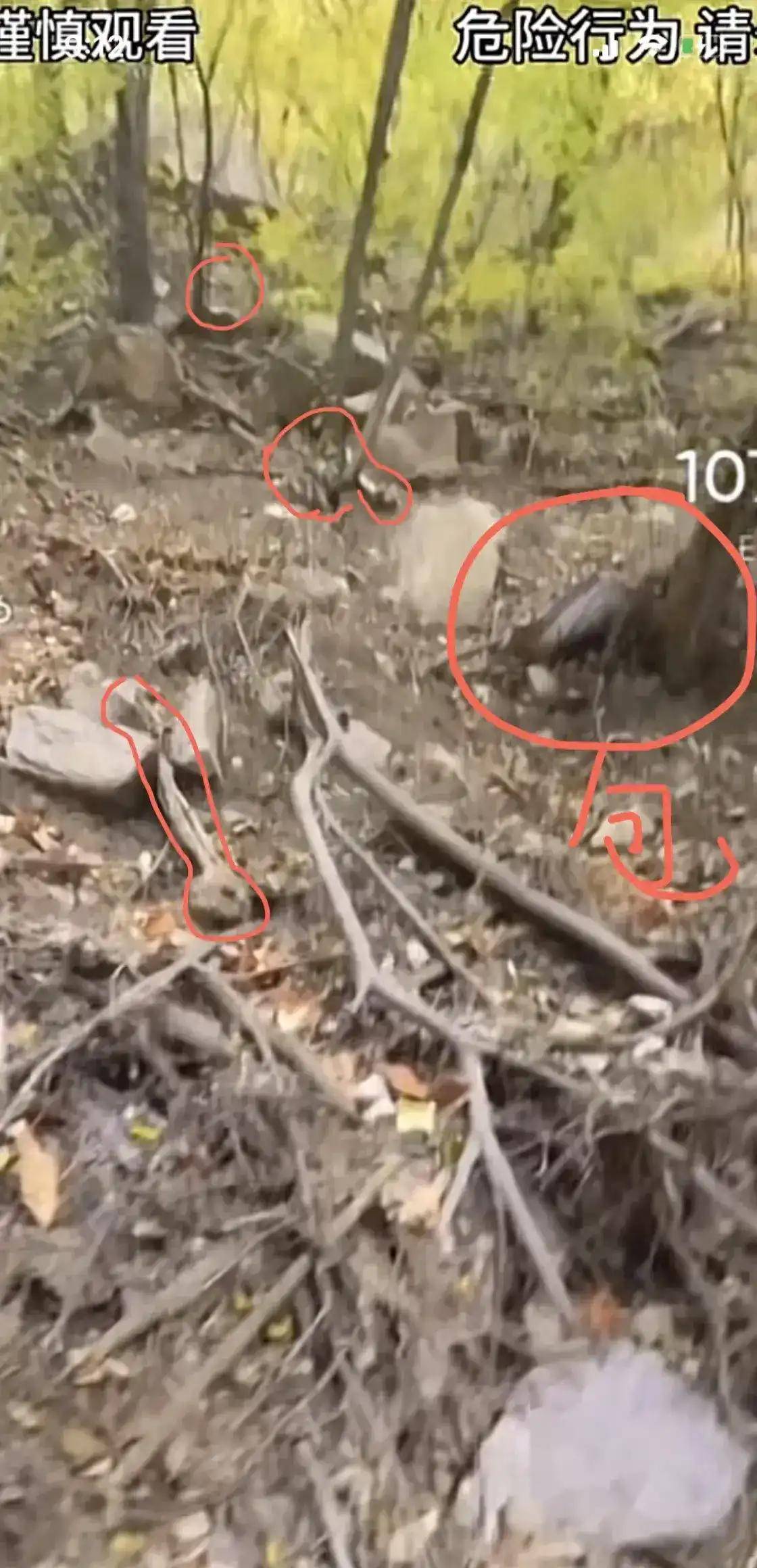 山西又火了啦!崛围山发现一尸体成白骨,网友:吃瓜吃到家门口了