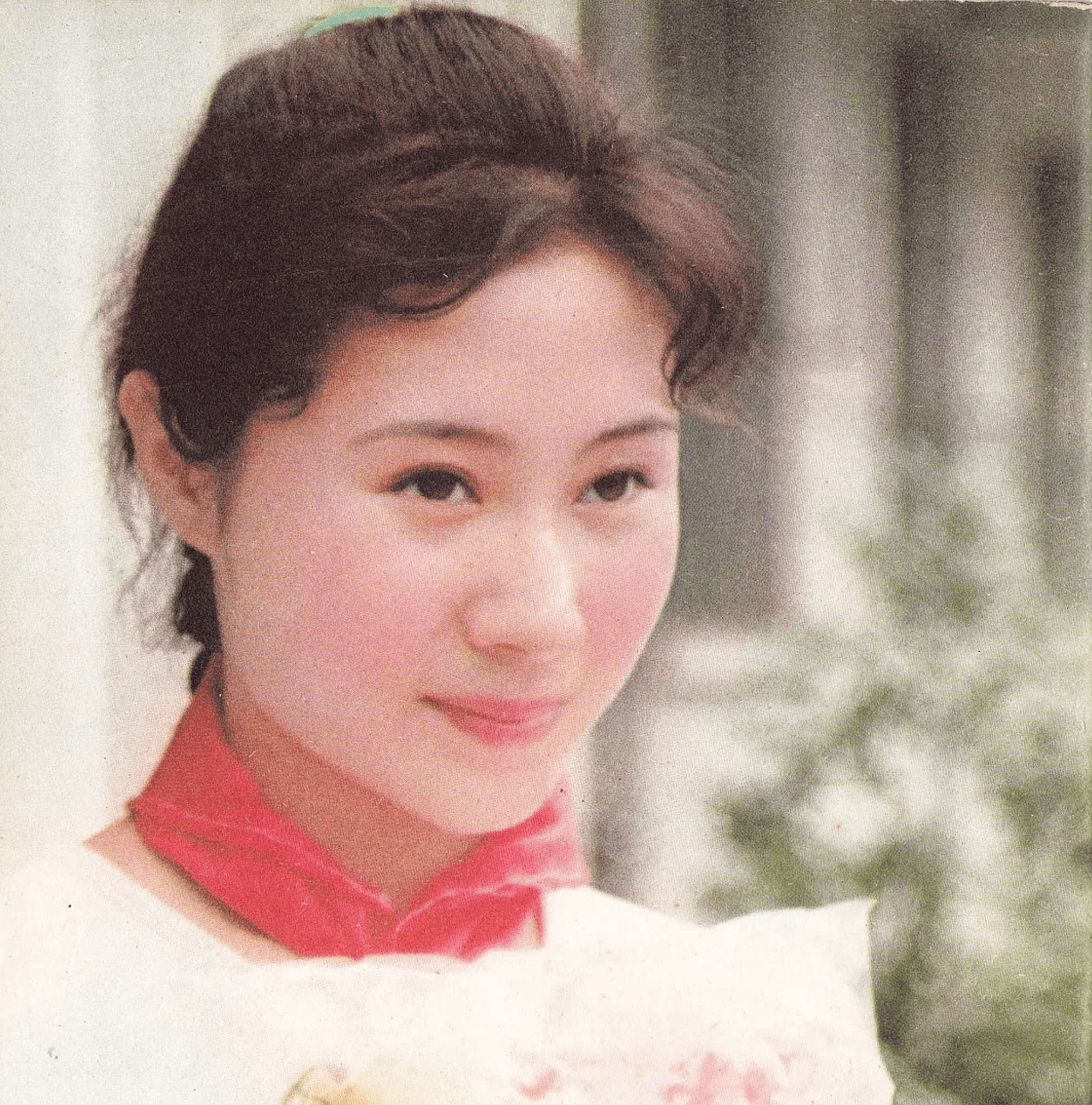 "牧羊女"丁岚:因《少林寺》走红,巅峰时远走他国,她后悔吗?