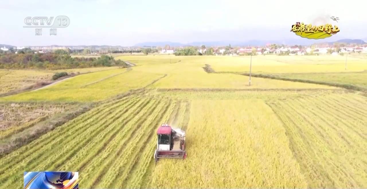 全国多地一派繁忙收获景象 丰 光无限