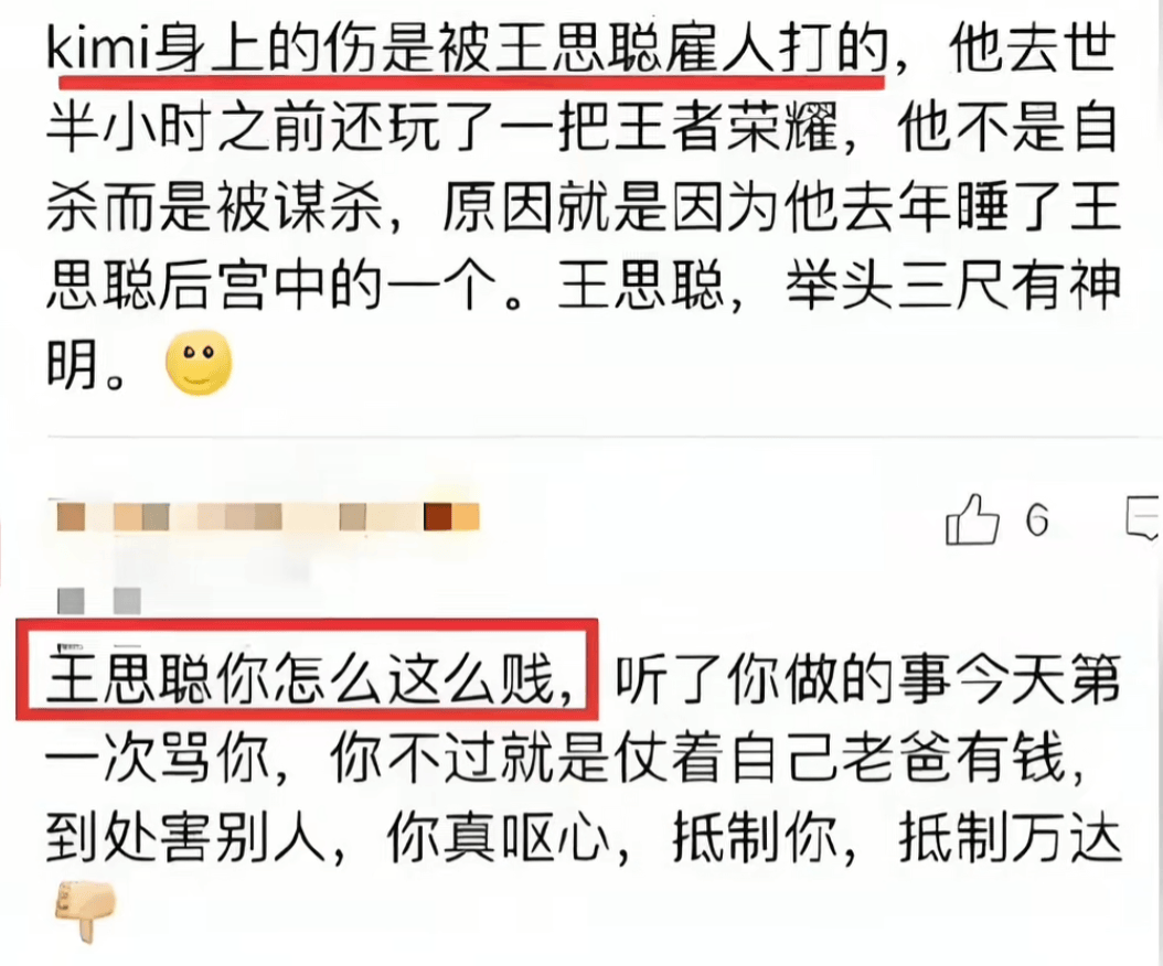 乔任梁和王思聪 折磨图片