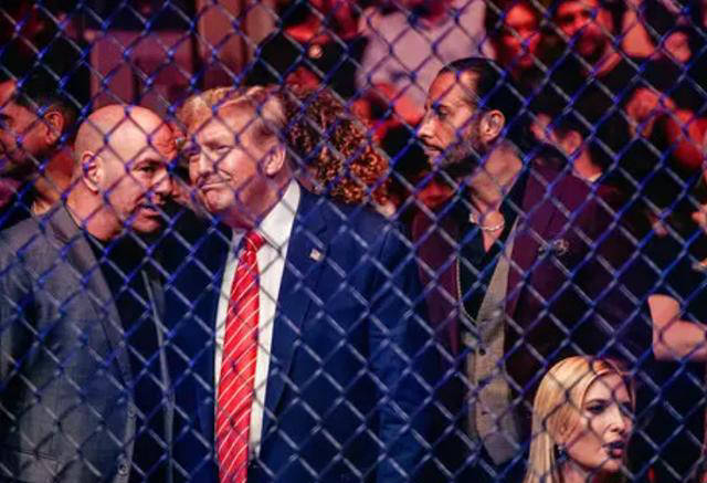 特朗普当选,白大拿为何成为焦点?两人成为坚定盟友的背后原因