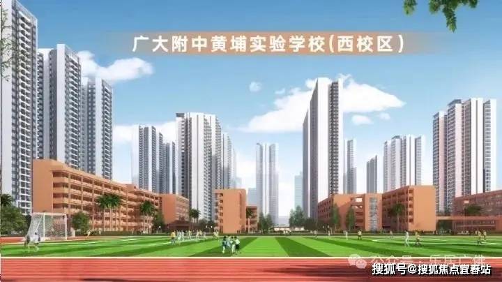 广州市黄埔区港湾中学图片