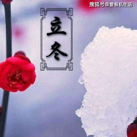 立冬吃什么传统食物？-立冬一般吃什么东西好?