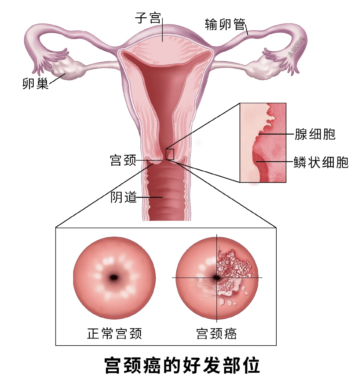 上海太安医院中医科 江苏肿瘤医院排名第一