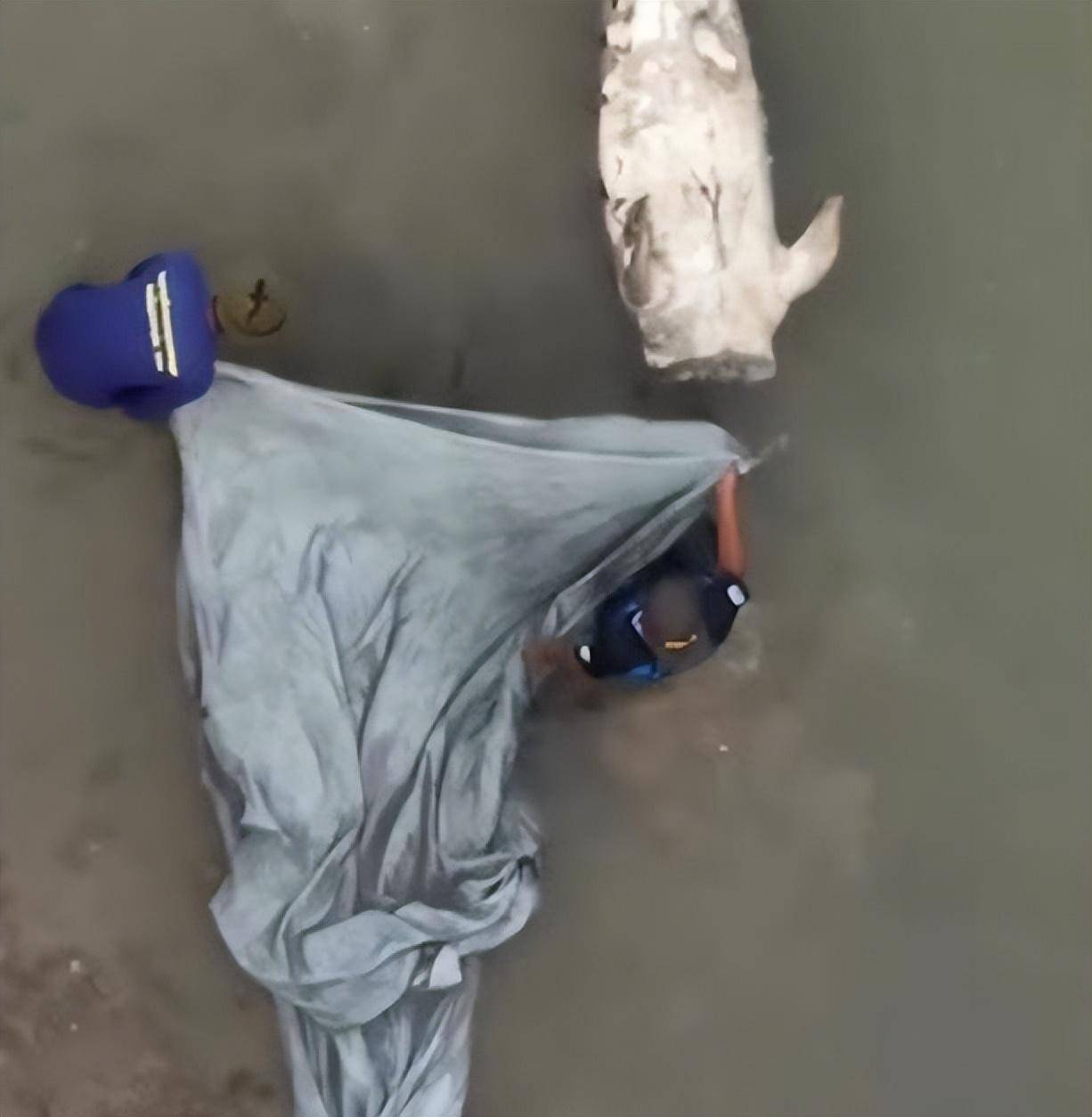 泰国海域发现无头"美人鱼",惨遭猎杀,猎人迷信其尖牙可辟邪