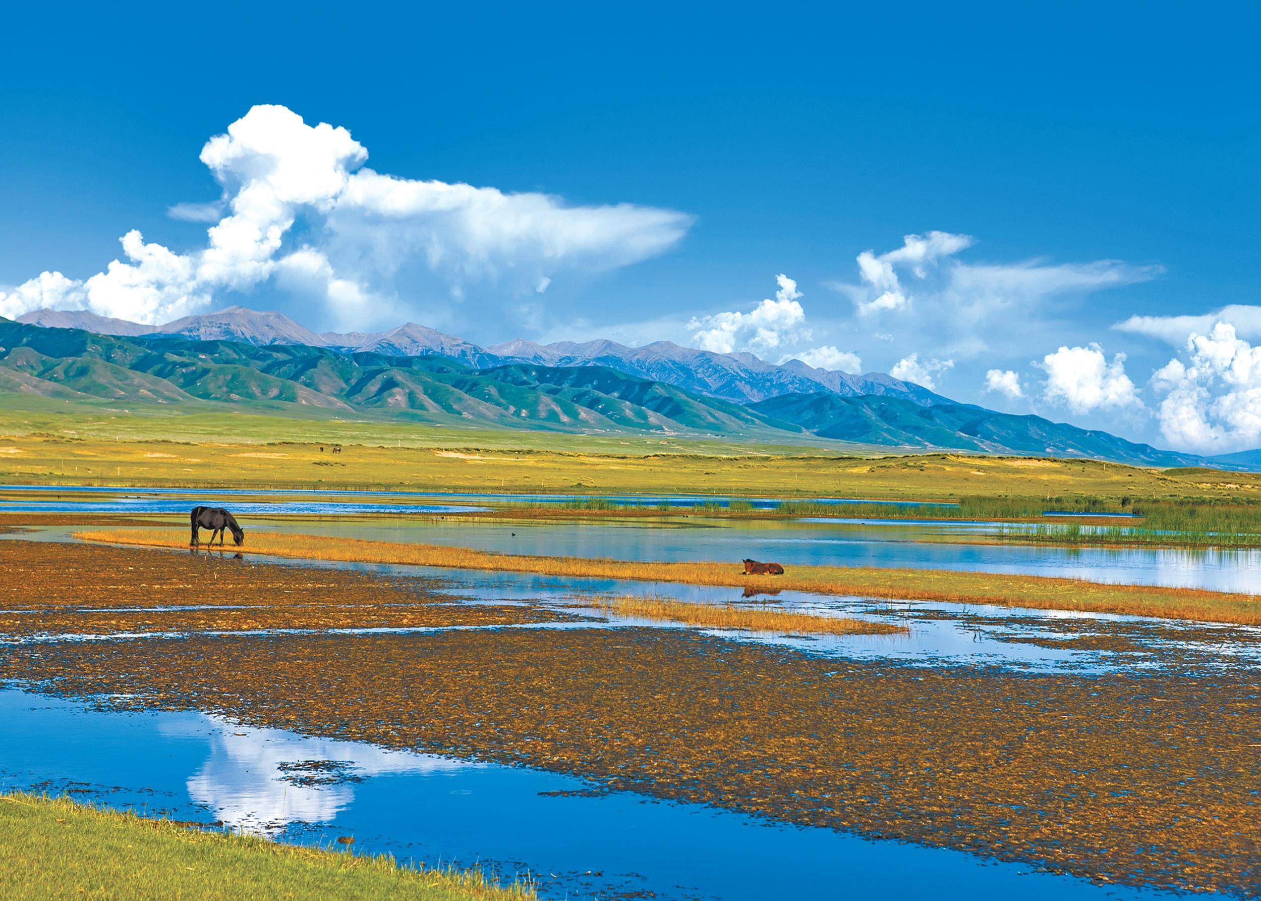 看这里！ 玉树旅游必去十大景点有哪些 玉树旅游攻略景点大全