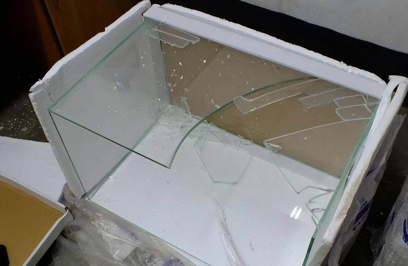 "红颜薄命"潘星谊:因滑倒撞碎鱼缸身亡,葬礼上姚晨哭成泪人