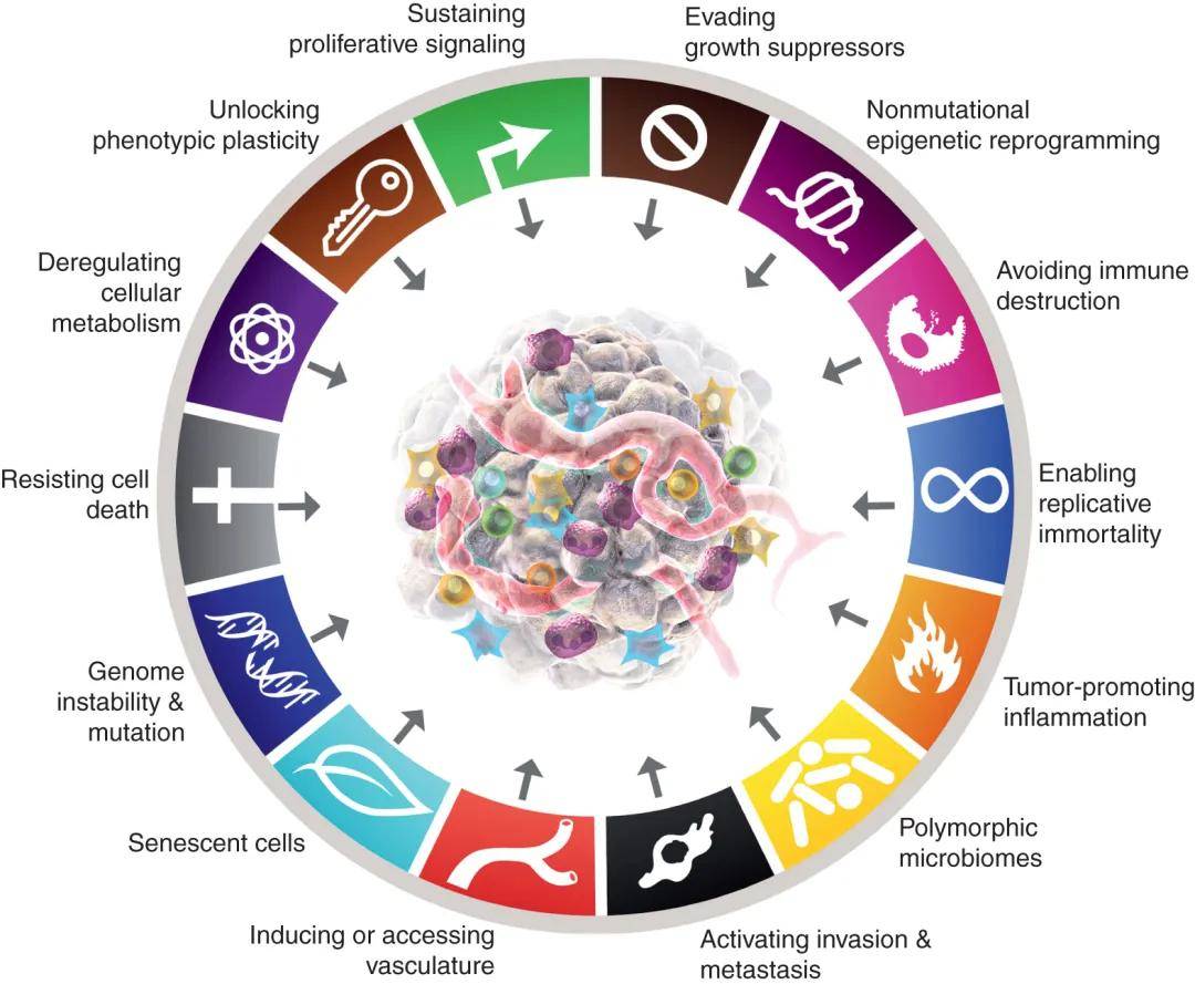 Cancer Discovery发表顶级综述:Hallmarks of Cancer:New Dimensions_癌症_标志_细胞