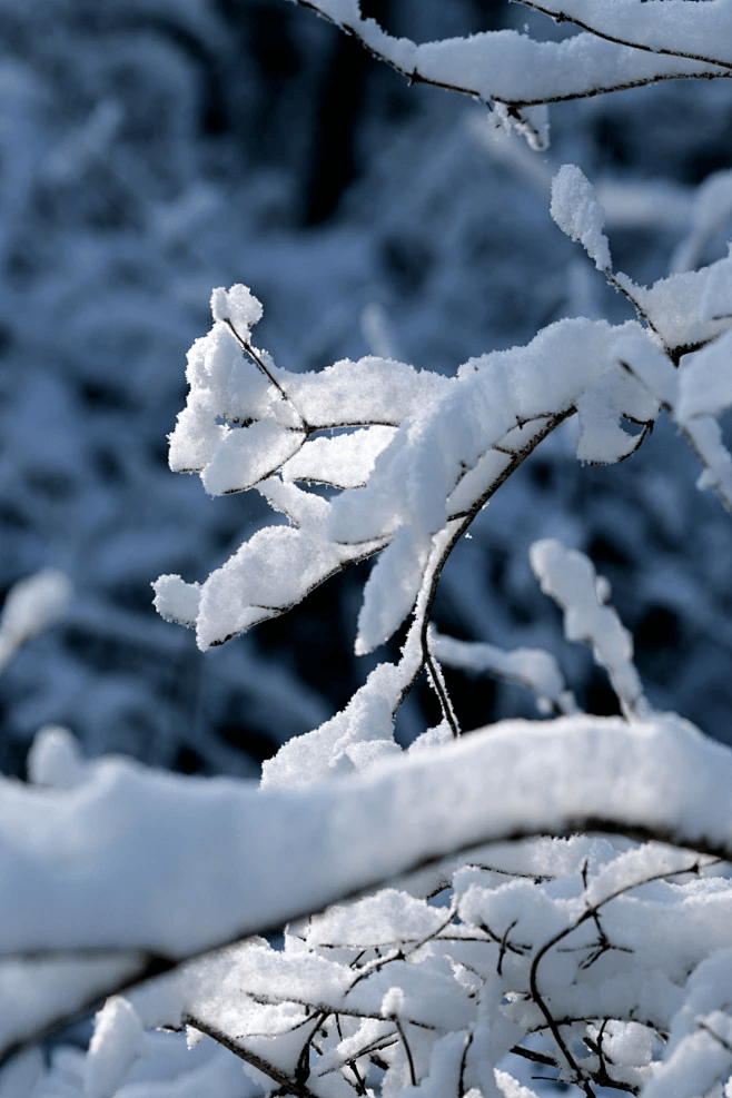 记住这5点,包出片的!_雪景_雪花_调整