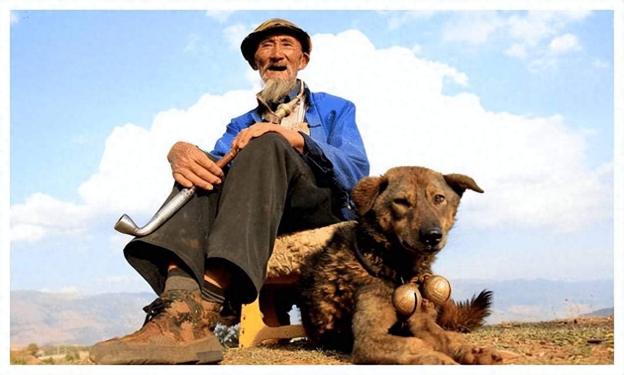 1993年参演谢晋电影《老人与狗》的演员,拍完后,人与狗皆枪毙