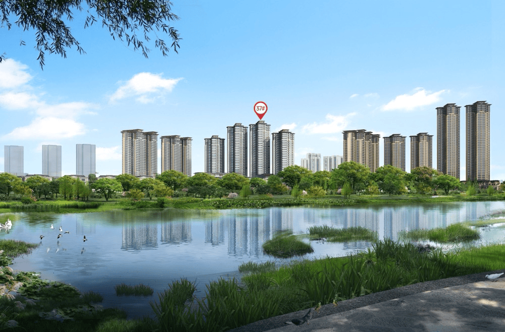 成都万达1号售楼处电话-价格详情-实时更新-万达1号售楼处地址-在售户型_天府_配套_公园
