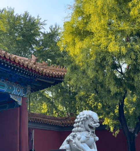 和姐妹一起去北京旅游玩五天四晚超详细旅游攻略，新手朋友们快来看北京五日四夜攻略；请查收！_景点_建议_前往