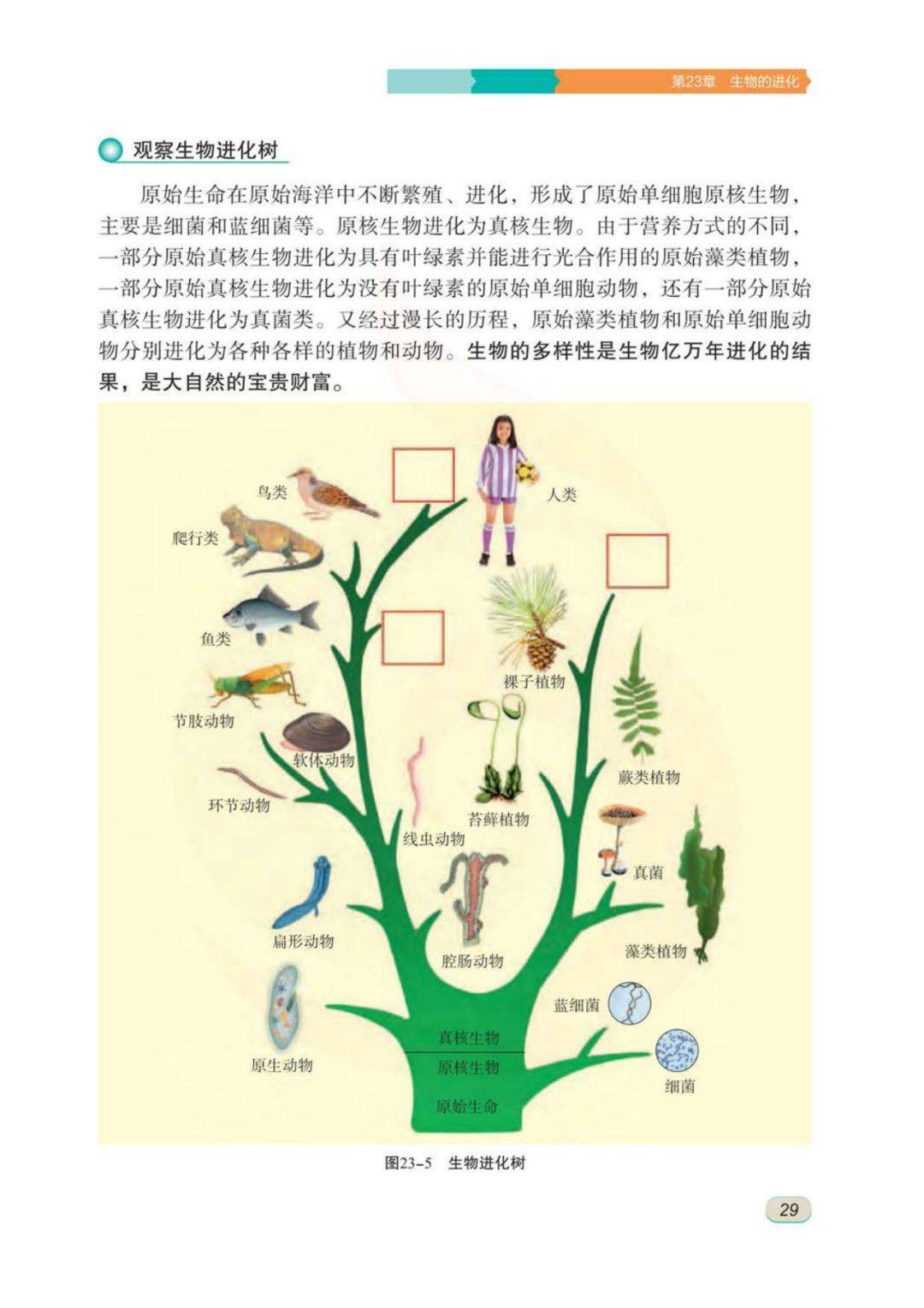 新教材苏科版八年级生物下册电子课本