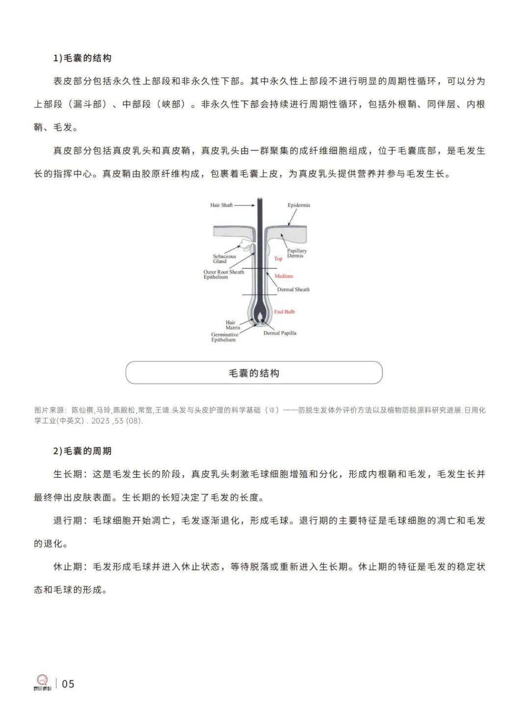 青眼情报：2024中国洗发护发市场现状分析报告，科学洗发护发指南