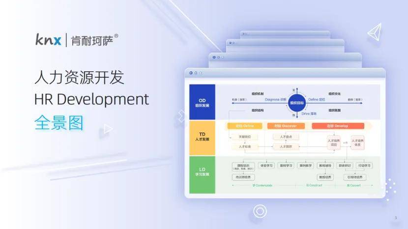BANI时代的职业生涯防衰退措施：值得了解的10本HR实践指南_组织_规划_盘点