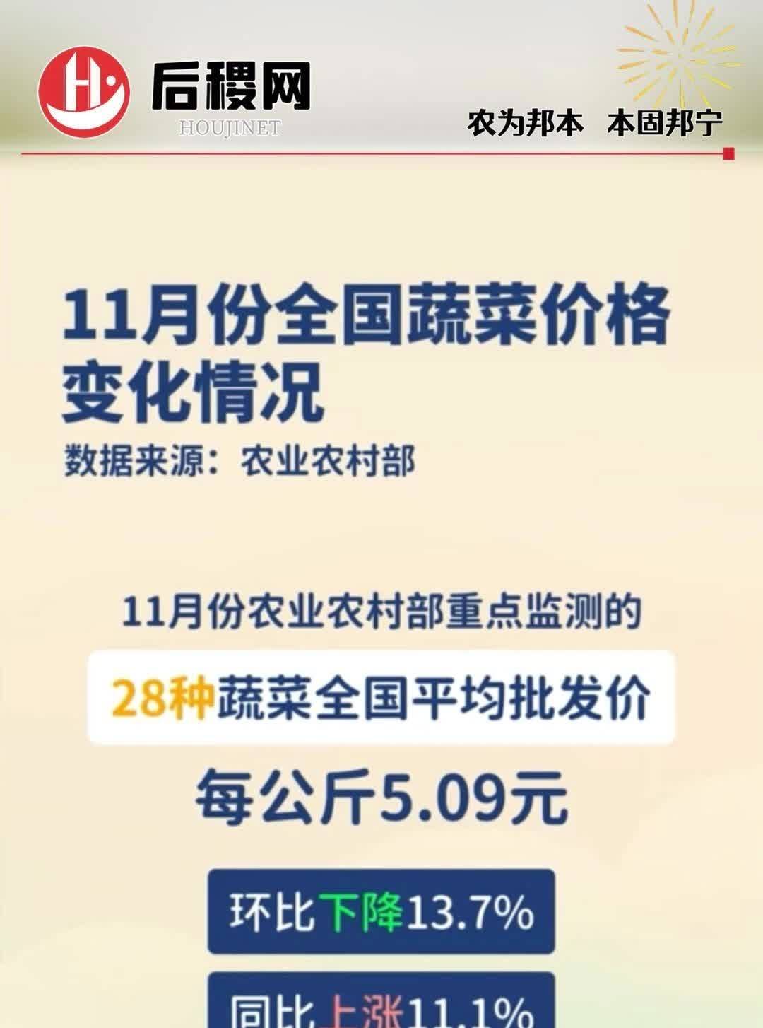 1亩地种菜年收益多少(种一亩地菜大概收入多少)