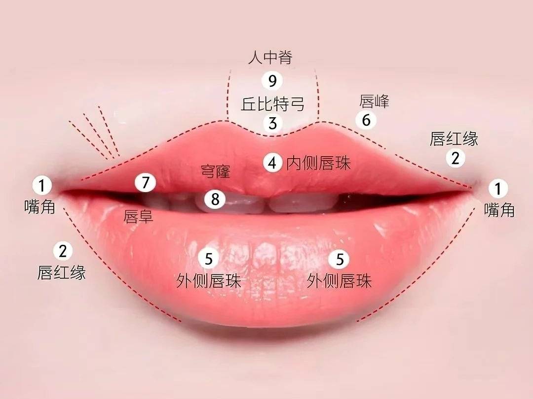 微整医生张国军:唇部美学标准与唇部注射的审美提升_搜狐网
