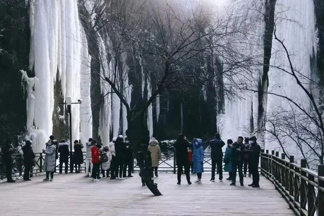 纵赏冬日美景，畅享滑雪激情 一起来铜川沉浸式体验冰雪旅游的魅力
