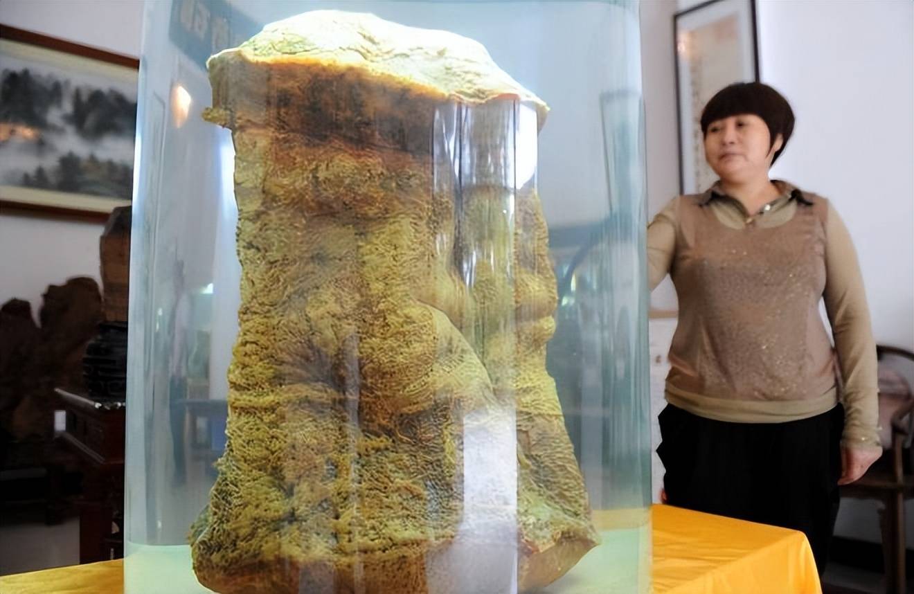 "太岁"形成于4万年前?中科院用精密仪器,揭开太岁的神秘面纱