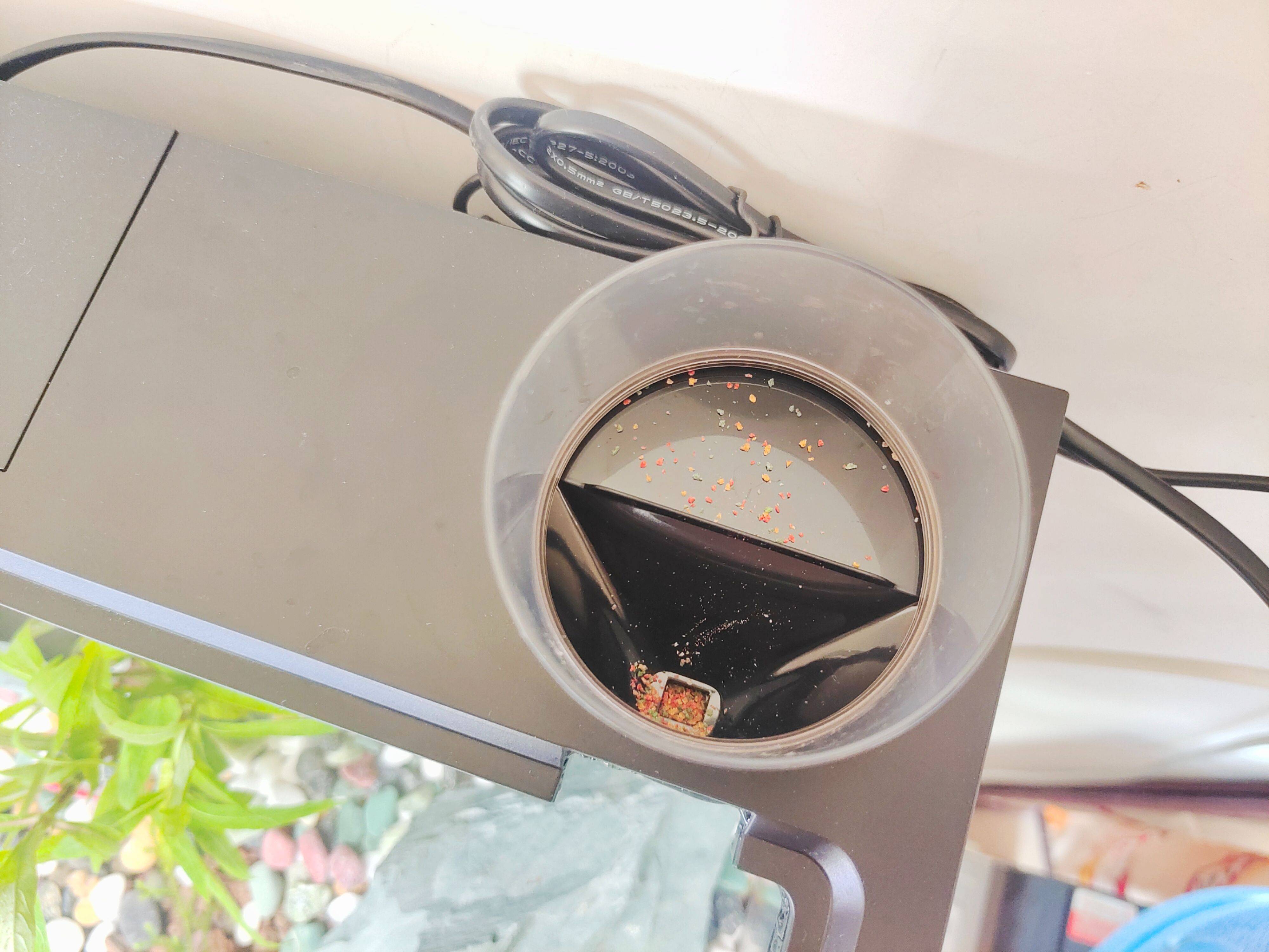 当贝智能鱼缸教你正确养鱼,一键搞定水流和投喂,养鱼如“摸鱼”一样轻松简单